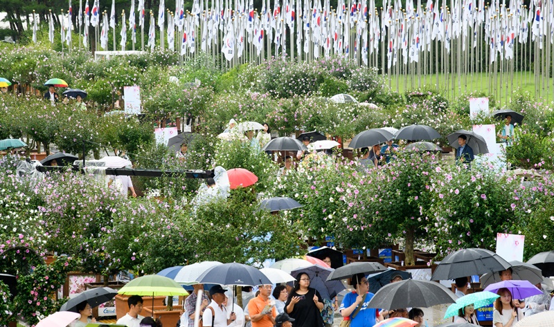 Eine feierliche Zeremonie zum 74. Unabhängigkeitstag findet am 15. August in der Unabhängigkeitshalle in Cheonan in der Provinz Süd-Chungcheong unter dem Motto „Das Licht, das wir wiedergefunden haben; eine Straße, die wir gemeinsam aufhellen müssen" statt. Trotz des Regens besuchten rund 2.000 Bürgerinnen und Bürger die Veranstaltung, darunter Unabhängigkeitskämpfer und deren Hinterbliebene. ⓒ Hyoja-Dong Studio