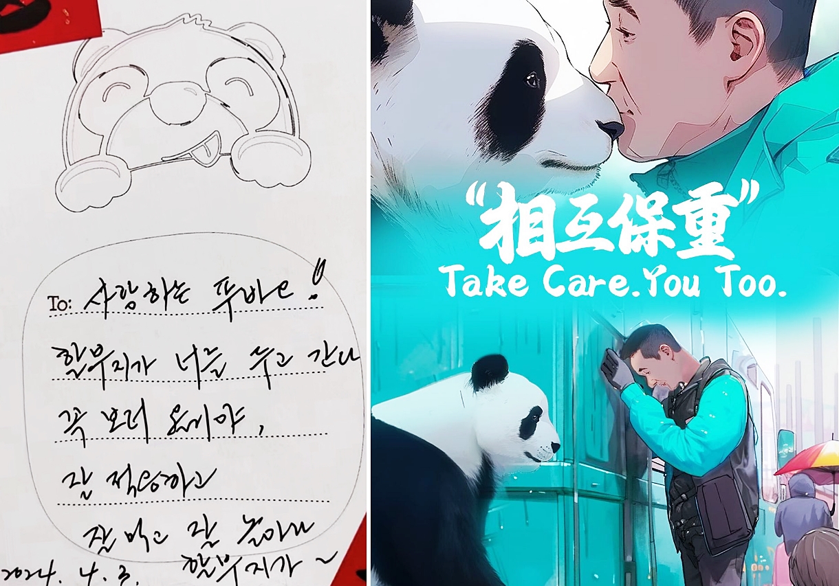 Der Brief (links), den Kang Cherwon, der koreanische Panda-Pfleger, nach dem Abschied von Fu Bao in seiner Unterkünfte in China hinterließ, und ein Beitrag auf Ipanda, einem vom chinesischen größten Fernsehsender CCTV betrieben Online-Kanal für Panda. ⓒ Offizielles Konto von XiǎoHóngShū vom Muyue Qinglan Hostel und offizielles Instagram-Konto von Ipanda