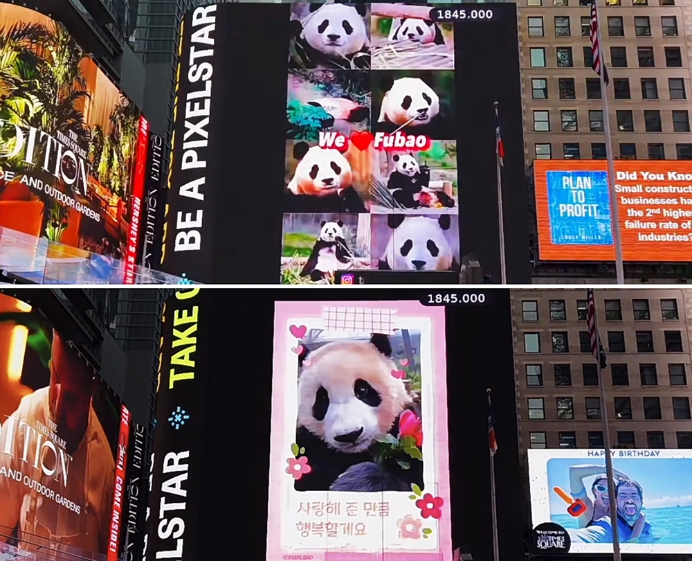 Ein Video, das von chinesischen Fans für Fu Bao mit Hilfe von japanischen Fans auf ihre eigenen Kosten erstellt und am 9. April auf der Anzeigetafel am Times Square in New York in den USA veröffentlicht wurde. ⓒ Screenshot von TSX-Livestream 