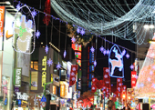 Busan Weihnachtsbaumfest