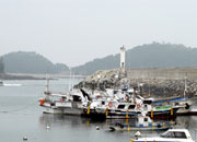 Das „Taean Mohang Port Marine Product Festival”