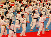 „World Taekwondo Culture Expo” 