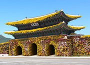Das „Große Hampyeong-Chrysanthemenfestival“