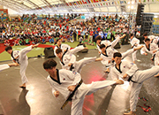 Die World Taekwondo Culture Expo