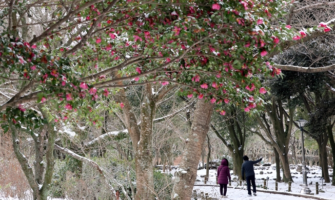 Spazieren auf dem schneebedeckten Pfad im Halla Arboretum