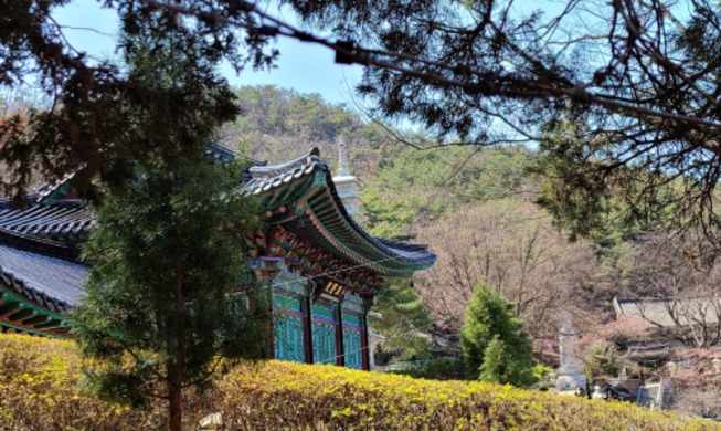 Koreanische Natur im Frühling