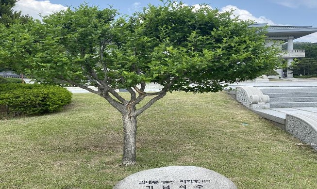 Ausstellung im Cheong Wa Dae: „die Bäume von Präsidenten“