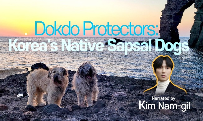 Veröffentlichung des Videos über „Beschützer der Insel Dokdo“ anlässlich des Tags der Unabhängigkeitsbewegung