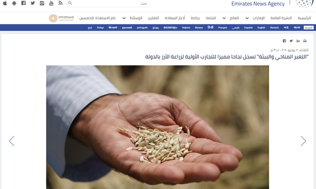 Die VAE loben den Anbau von koreanischem Reis in Wüstengebieten