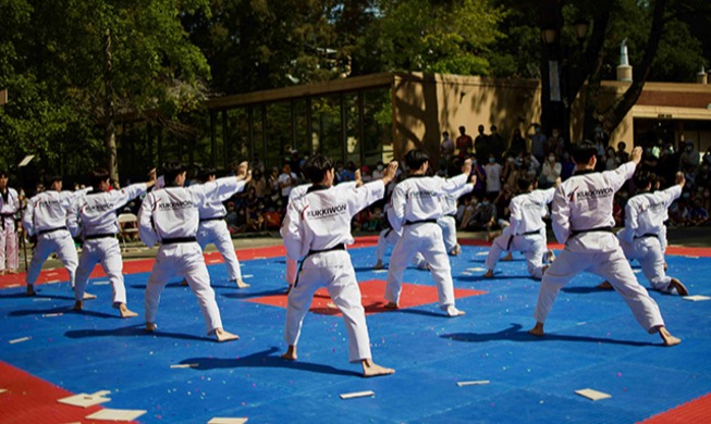 Wir sind alle Meister: Gedenkvideo zu „Taekwondo-Tag“ veröffentlicht