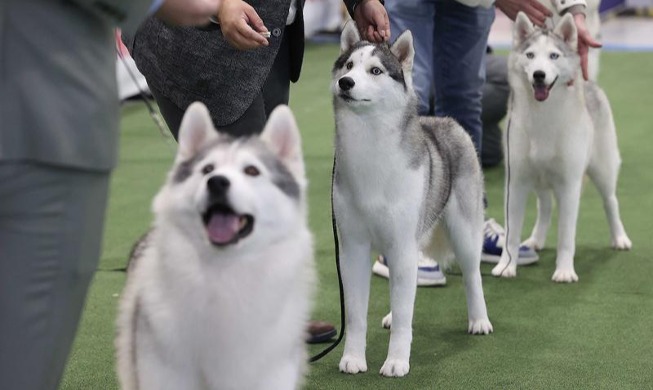 „2023 Korea Premier Dog Show“ eröffnet