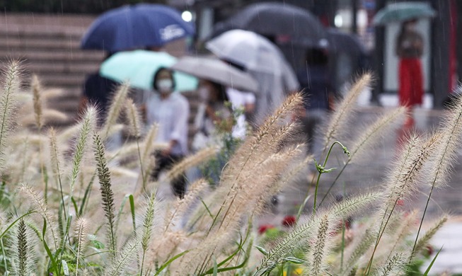 [Korea in Fotos] Regen signalisiert den Beginn des Herbstes