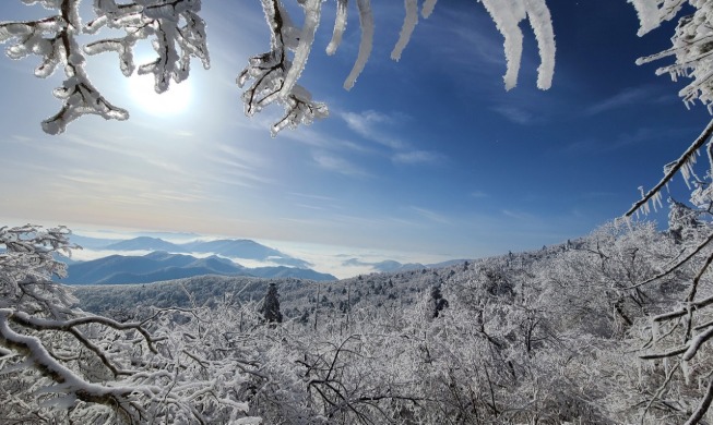 Winter und Frühling treffen in Korea aufeinander