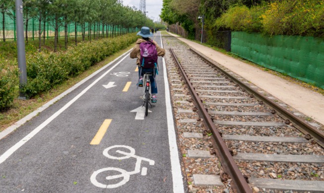 Wandern, Laufen, Radfahren in Seoul #3 – Außergewöhnliche Reise mit öffentlichem Fahrradverleih
