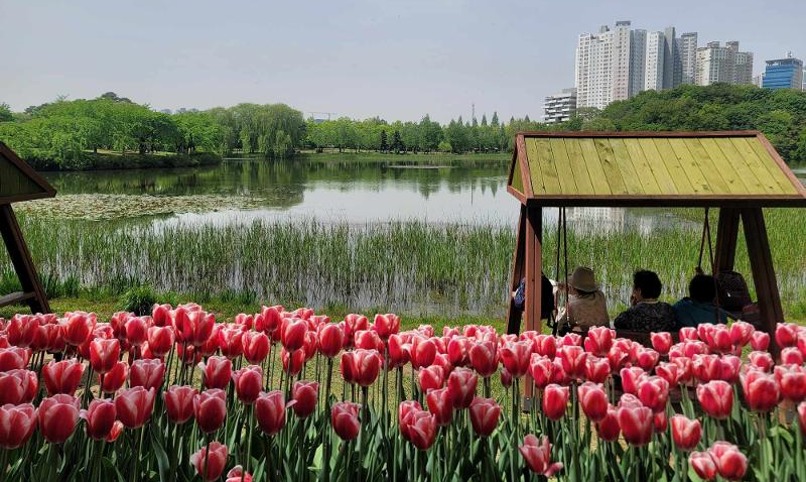 Genießen Sie Frühling bei der International Horticulture Goyang Korea 2024