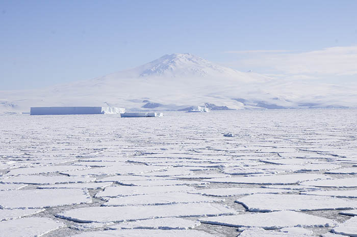 160216_southpole_art5.jpg