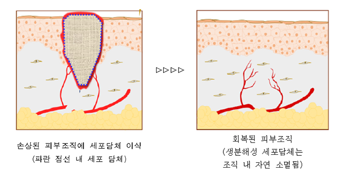 160318_fishskin_art3.jpg