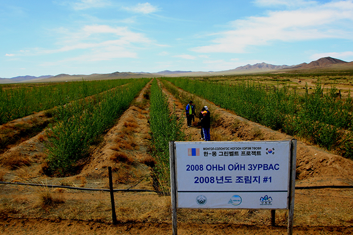 160620_mongoliaforest_art1.jpg