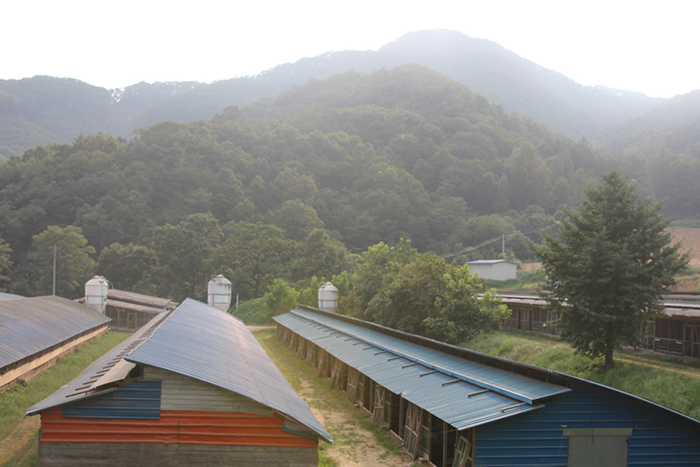 20160826_Nunbisan_02.JPG