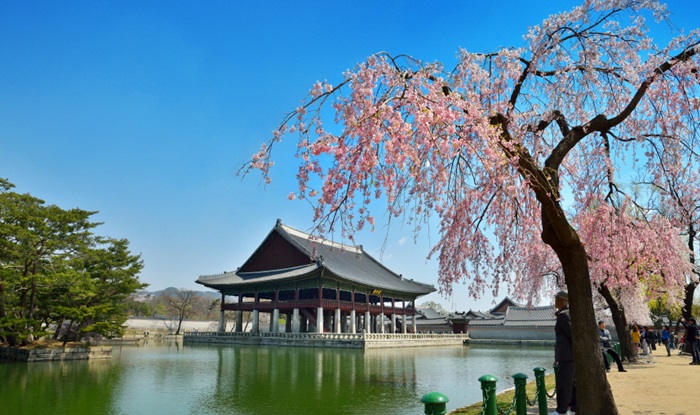 20180320_gogung_article01.jpg