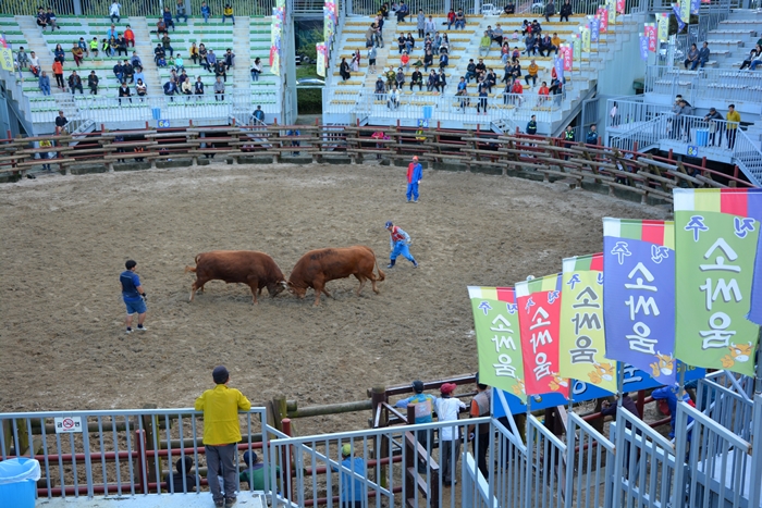 Die Stierkampfarena in Jinju