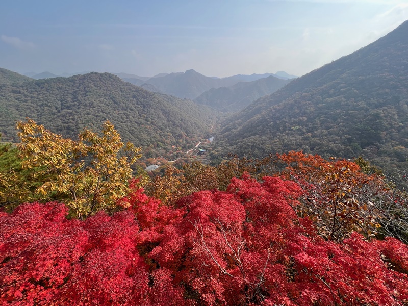 Das Team Korea.net besuchte am 26. Oktober den Naejangsan Nationalen Park. Das Panorama des Berges Naejangsan vom Yeonjadae-Pavillon, einem Aussichtspunkt des Berges Naejangsan.