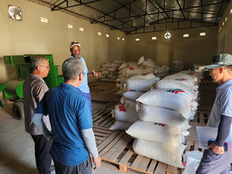 Die öffentliche Entwicklungszusammenarbeit (ODA) der Republik Korea im letzten Jahr belief sich voraussichtlich auf 3,13 Milliarden Dollar. Foto vom Projekt “K-Ricebelt“ in Gambia. Es ist eines der im Rahmen von koreanischen ODA durchgeführten Projekte. ⓒMinisterium für Landwirtschaft, Ernährung und ländlichen Raum 