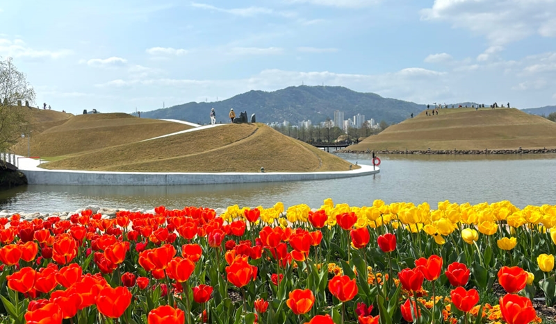 Die Tulpen im Nationalgarten der Suncheon Bay im April dieses Jahres. ⓒ Offizielle Facebook-Seite vom Suncheon Bay National Garden