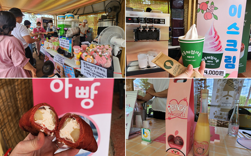 Die Desserts aus Pfirsichen auf dem “Jochiwon Peach Festival 2024”. Von links: Abteilung für Desserts aus Pfirsichen im Dodori-Park, Pfirsich-Eis, Makgeolli (koreanischen Reiswein) mit dem Geschmack nach Pfirsichen und salziges Brötchen mit Pfirsichen. .