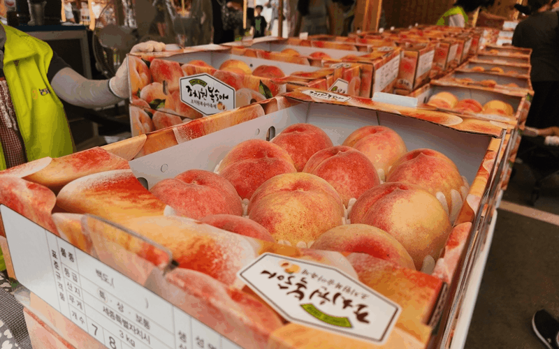 Das “Jochiwon Peach Festival 2024” beging in diesem Jahr seinen 22. Jahrestag und wurde vom 26. bis zum 28. Juli im Dodori-Park und im Sejong-Stadium in der Stadt Sejong abgehalten. Die Pfirsiche in Jochiwon wurden im Jahr 1908 nach der Errichtung des Pfirsichbauernhofs der staatlichen Landwirtschaftsbehörde, der heutigen Verwaltung für ländliche Entwicklung, zum ersten Mal angebaut.