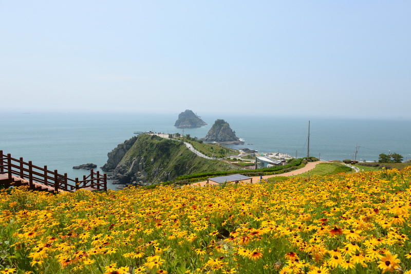 Der Sonnenaufgangspark Oryukdo in Busan ist der Anfangspunkt vom Wanderweg Haeparang-gil und Namparang-gil.