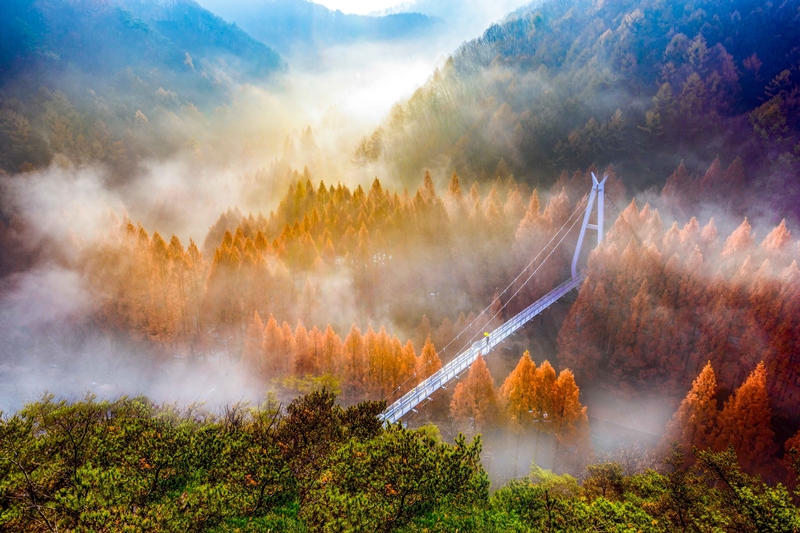 Foto von Jangtaesan Natural Forest. ⓒ Lee Beom-soo von Photo Korea der Korea Tourism Organization