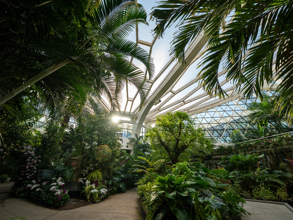 Im Gewächshaus des botanischen Gartens Seoul können die Besucher ganzjährig den Sommer erleben ⓒ Korea Tourism Organisation