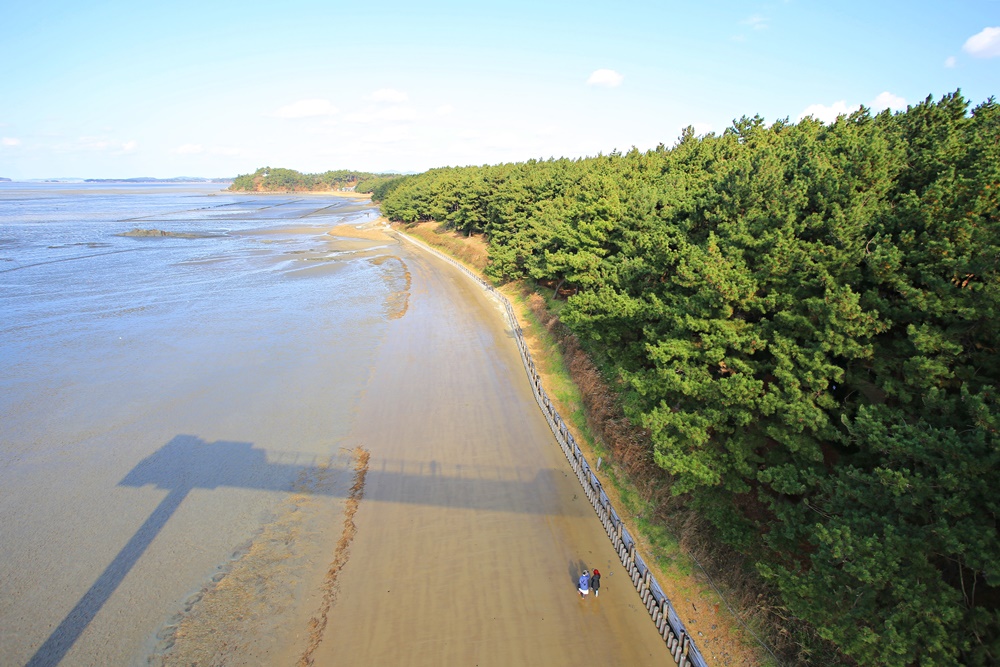  Das “Janghang Songlim Waldbad” in der Nähe vom Seocheon-Wattenmeer in Janghang-eup in der Provinz Chungcheongnam-do ⓒ Korea Tourism Organisation 