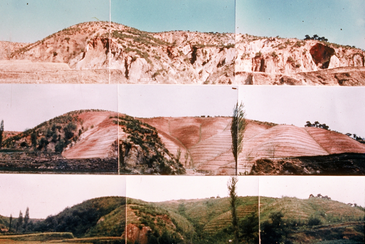  Fotos bei der Wiederaufforstung der Wälder im Gebiet der Bucht von Yeongil in Pohang in 1973 bis 1977 ⓒ Amt für Kulturerbeverwaltung