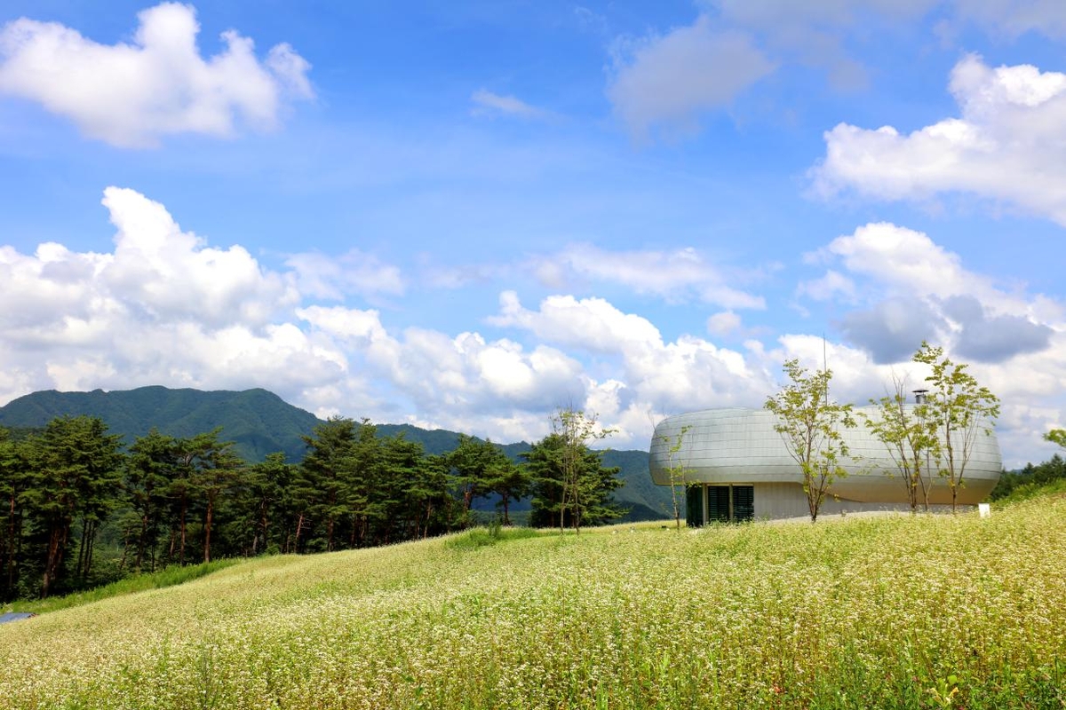 Das Korea Arboreta and Gardens Institute wählte 20 Organisationen für das “Global Seed Conservation (GSC) Grants Program” Foto vom Baekdudaegan Global Seed Vault aus ⓒ Korea Arboreta and Gardens Institute  
