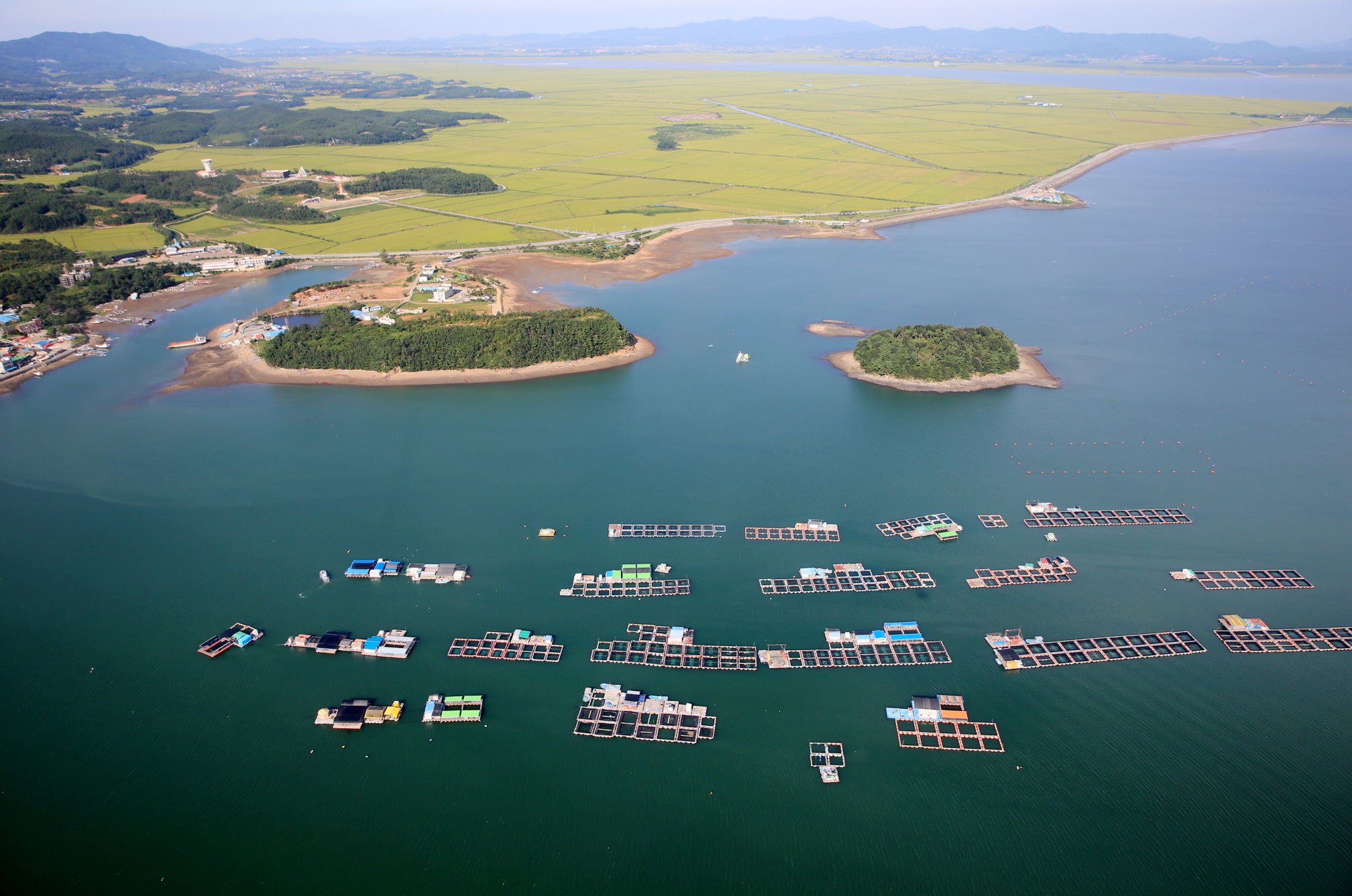 Das Ministerium für Ozeane und Fischereiwesen und das Ministerium für Justiz teilten am 5. Januar mit, den Beschäftigungsbereich für ausländische Arbeitskräfte in der Aquakultur zu erweitern. Foto der Aquakultur in Taean-gun in der Provinz Chungcheongnam-do ⓒ Taean-gun