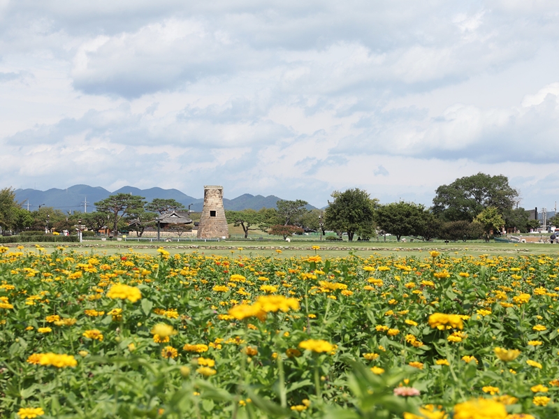 Das Ministerium f&uuml;r Kultur, Sport und Tourismus bietet von April bis Mai im Rahmen der Kampagne &ldquo;Fr&uuml;hling 2026 &ndash; Zeit zur Reise&rdquo; Rabattangebote und vielf&auml;ltige Reiseprodukte an ⓒ Park Daejin/korea.net