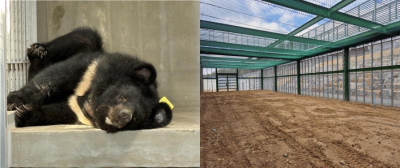 In Gurye-gun in der Provinz Jeollanam-do ist die “Gurye Bear Protection Facility” in Betrieb ⓒ Ministerium für Klima, Energie und Umwelt