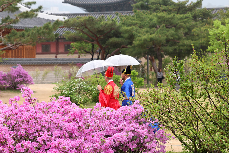 Internationale Touristen im Gyeongbokgung-Palast in Seoul ⓒ Korea.net DB