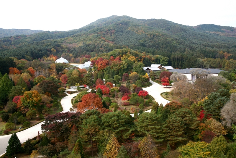 Foto: Die Landschaft des Gwangneung-Waldes ⓒ Koreanischer Forstdienst 