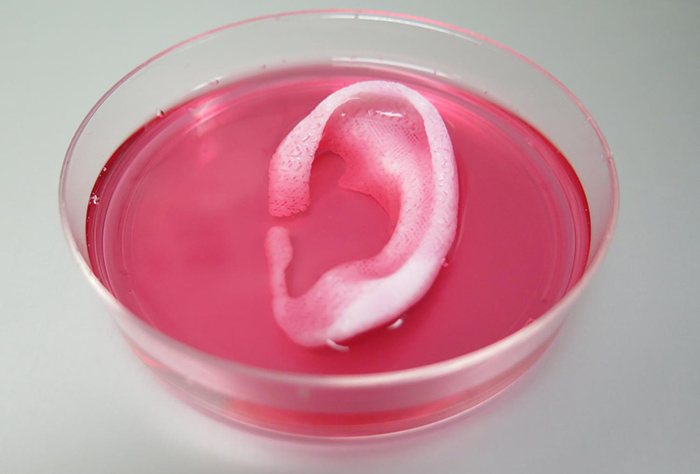 3D_Ear_Experience_02.jpg