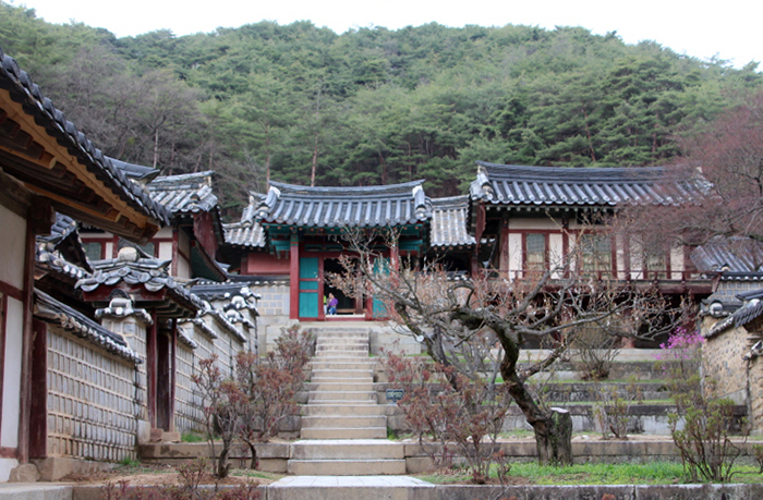 Die Dosan Seowon befindet sich in dem Viertel Dosan-myeon in der Stadt Andong und wurde 1574 im Gedenken an Yi Hwang, einem der berühmtesten konfuzianischen Gelehrten der Joseon-Zeit, auf Anordnung von König Seonjo (1552-1608) gebaut.