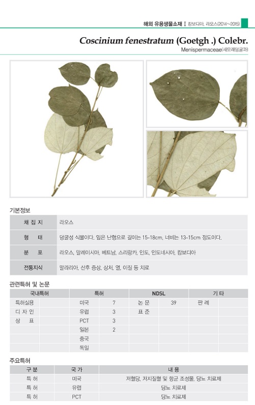 Useful_Plants_Medical_Use_01.jpg