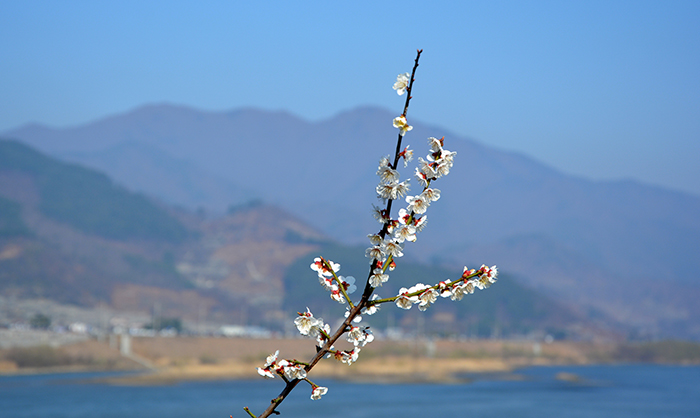 flower_180404_article_03.jpg