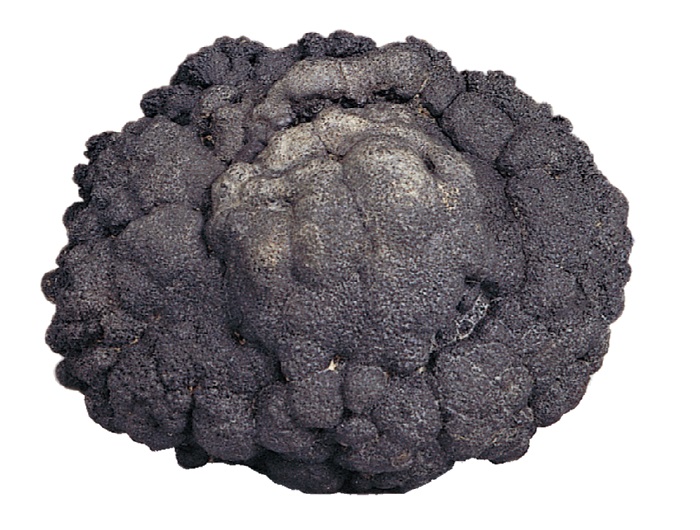 manganese%20nodule_01.jpg