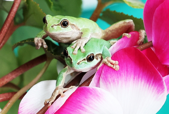 Frühling kommt bald