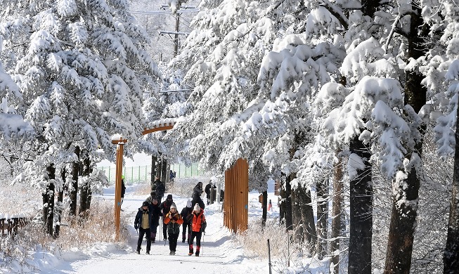 Wandern in Daegwallyeong: entlang der schneebedeckten Berge