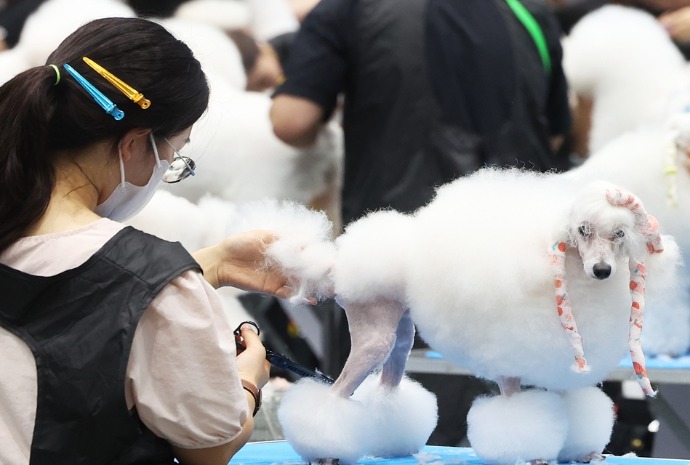 2026 KOREA GRANDPRIX DOG SHOW