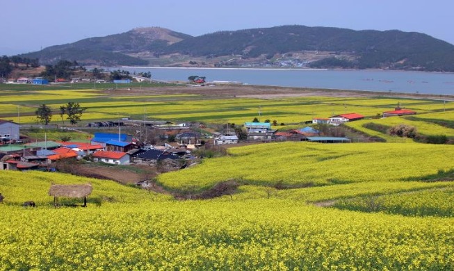 Korea wählte neun Regionen für das „Half-price Travel“ -Programm aus
